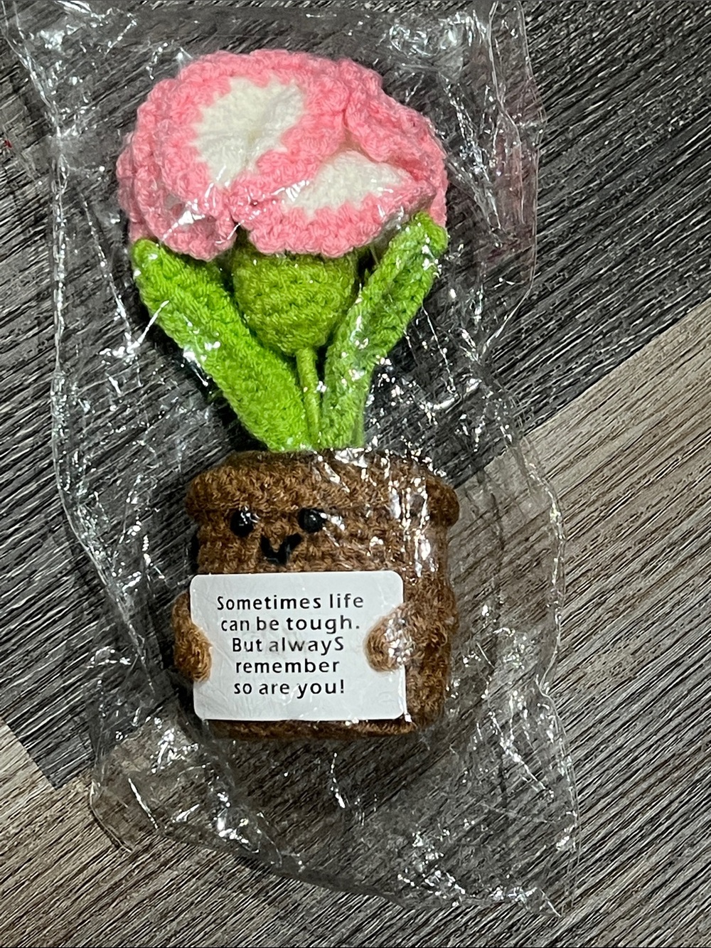NWT Crochet Funny Carnation Flower Pink & White Flower Plush in Brown Pot
